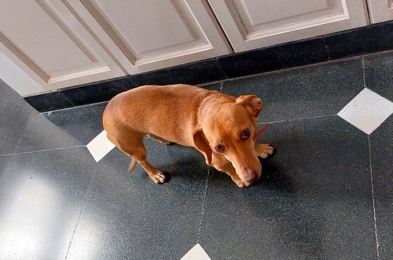 Imagen de publicación